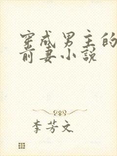 穿成男主的炮灰前妻小说