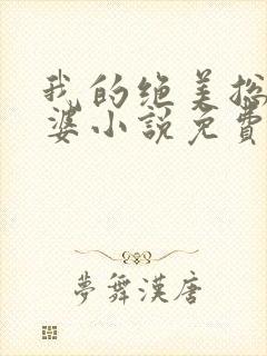 我的绝美总裁老婆小说免费