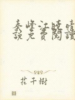 秦峰江晓晴的小说免费阅读秦峰胡佳芸