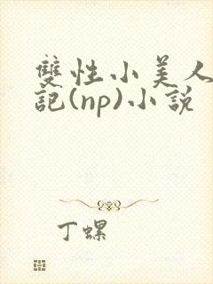 双性小美人受罪记(np)小说