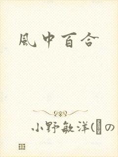 风中百合封面