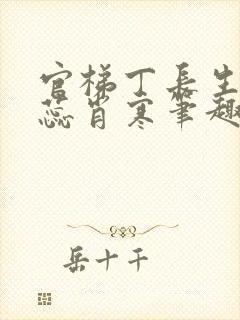 官梯丁长生贺乐蕊肖寒笔趣阁