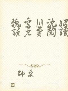 魏云川沈昭禾小说免费阅读笔趣阁