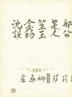 沈念笙是哪本小说的主人公封面