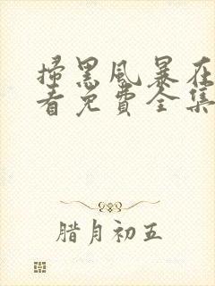 扫黑风暴在线观看免费全集