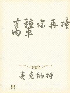 有种你再撞一下肉车