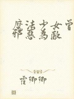 魔法少女曾经与邪恶为敌封面