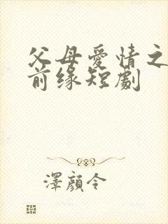 父母爱情之再续前缘短剧