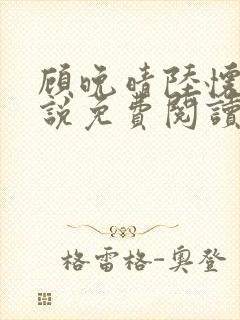 顾晚晴陆怀铮小说免费阅读最新章节封面