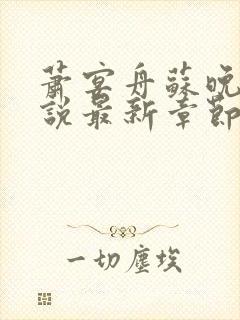 萧宴舟苏晚笙小说最新章节更新内容