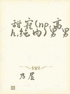 甜宠(np,高h,纯肉)男男