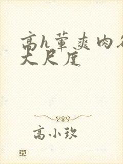 高h荤爽肉欲文大尺度