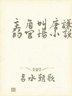 主角叫唐谦哥哥的官场小说