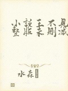 小说王不见王完整版未删减小说