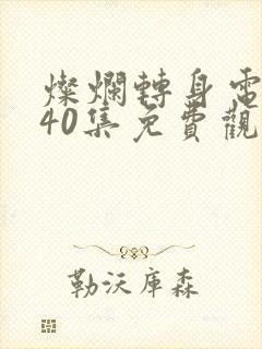 灿烂转身电视剧40集免费观看高清