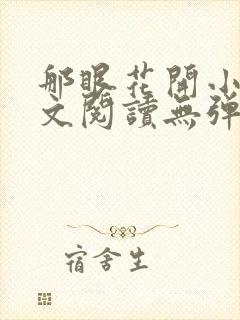 那眼花开小说全文阅读无弹窗封面