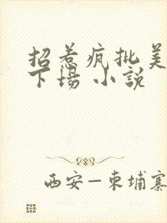 招惹疯批美人的下场 小说