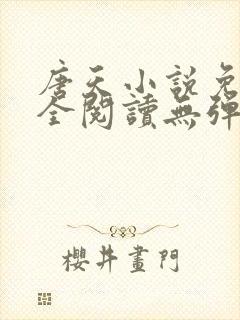 唐天小说免费大全阅读无弹窗封面