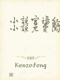 小说官场红颜的小说免费阅读