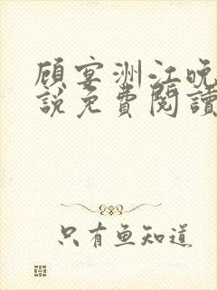 顾宴洲江晚枝小说免费阅读最新章节封面