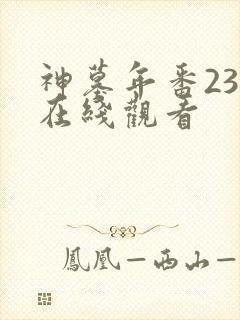 神墓年番23集在线观看