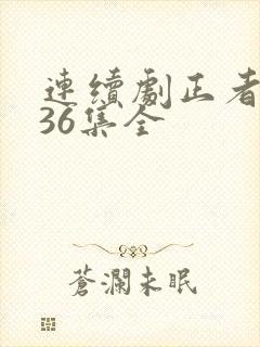 连续剧正者无敌36集全