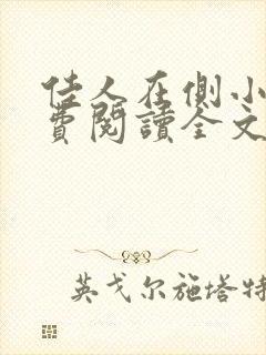 佳人在侧小说免费阅读全文无弹窗封面