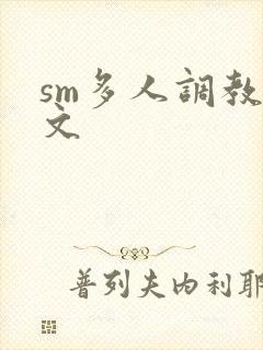 sm多人调教h文