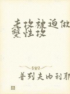 老攻被迫做零(双性攻