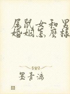 属鼠女和男鼠的婚姻怎么样