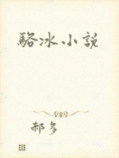 骆冰小说封面