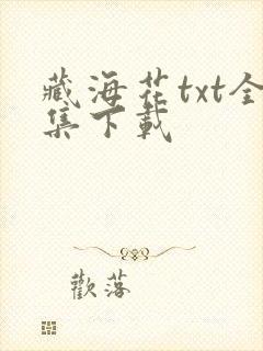 藏海花txt全集下载封面