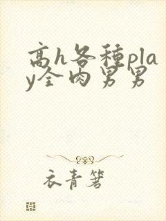 高h各种play全肉男男封面