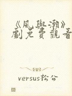 《风与潮》电视剧免费观看封面