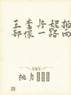 王李丹妮拍过几部像一路向西的电影