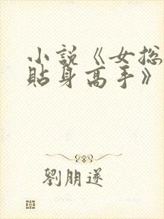 小说《女总裁的贴身高手》