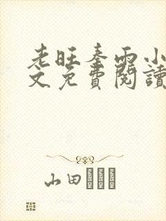 老旺秦雨小说全文免费阅读无弹窗小说