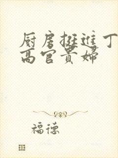 厨房挺进丁字裤高官贵妇