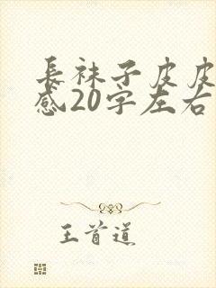 长袜子皮皮读后感20字左右