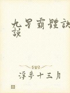 九星霸体诀 小说