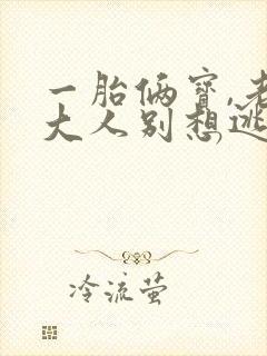 一胎俩宝,老婆大人别想逃继续阅读