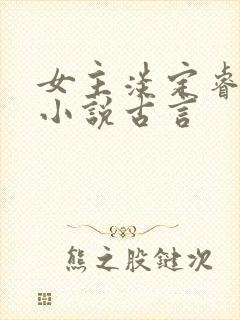 女主淡定睿智的小说古言