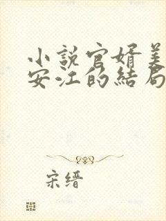 小说官婿美人图安江的结局