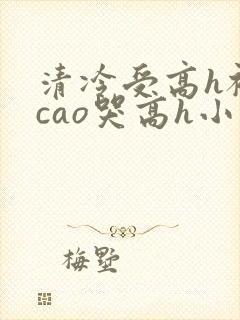 清冷受高h被强cao哭高h小说