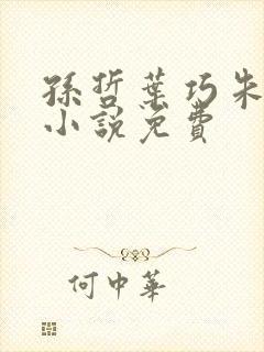 孙哲叶巧朱颜的小说免费