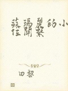 苏玛丽的小说错位关系