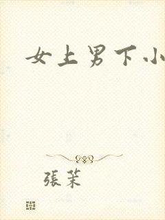 女上男下小说