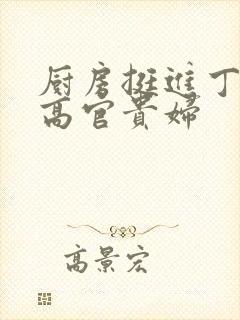 厨房挺进丁字裤高官贵妇