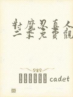 对魔忍真人版第二季免费观看完整版封面