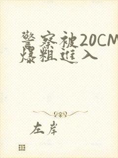 警察被20CM爆粗进入